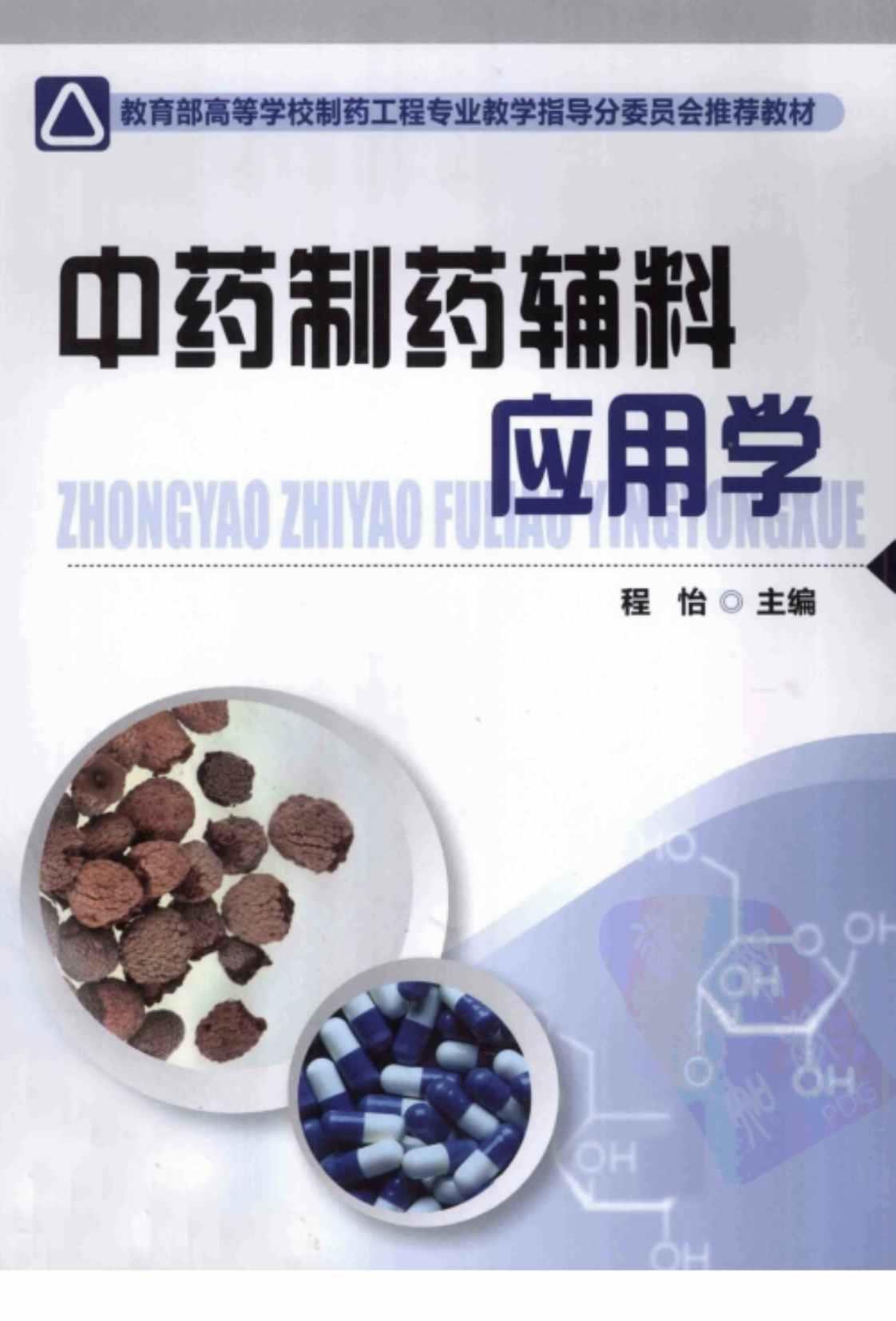 [中药制药辅料应用学][程怡（编著）]高清PDF电子书下载