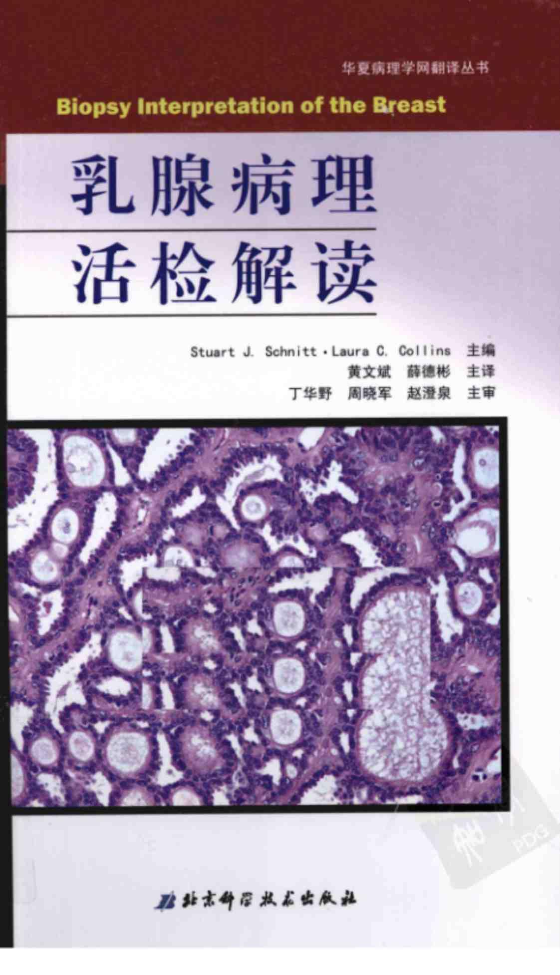 [乳腺病理活检解读][史尼特、科林斯（主编）]高清PDF电子书下载