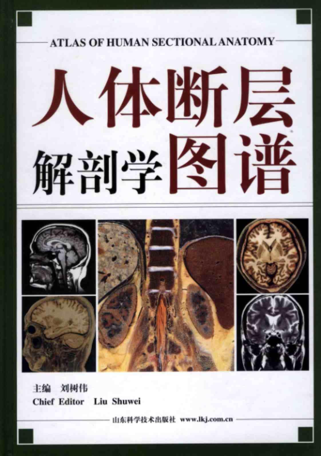 [人体断层解剖学图谱][刘树伟（编）]高清PDF电子书下载